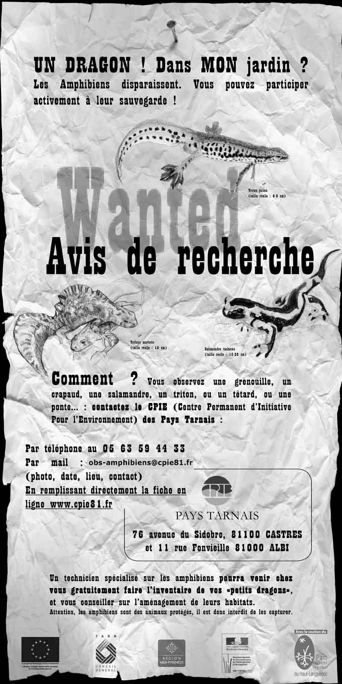 Affiche Dragon